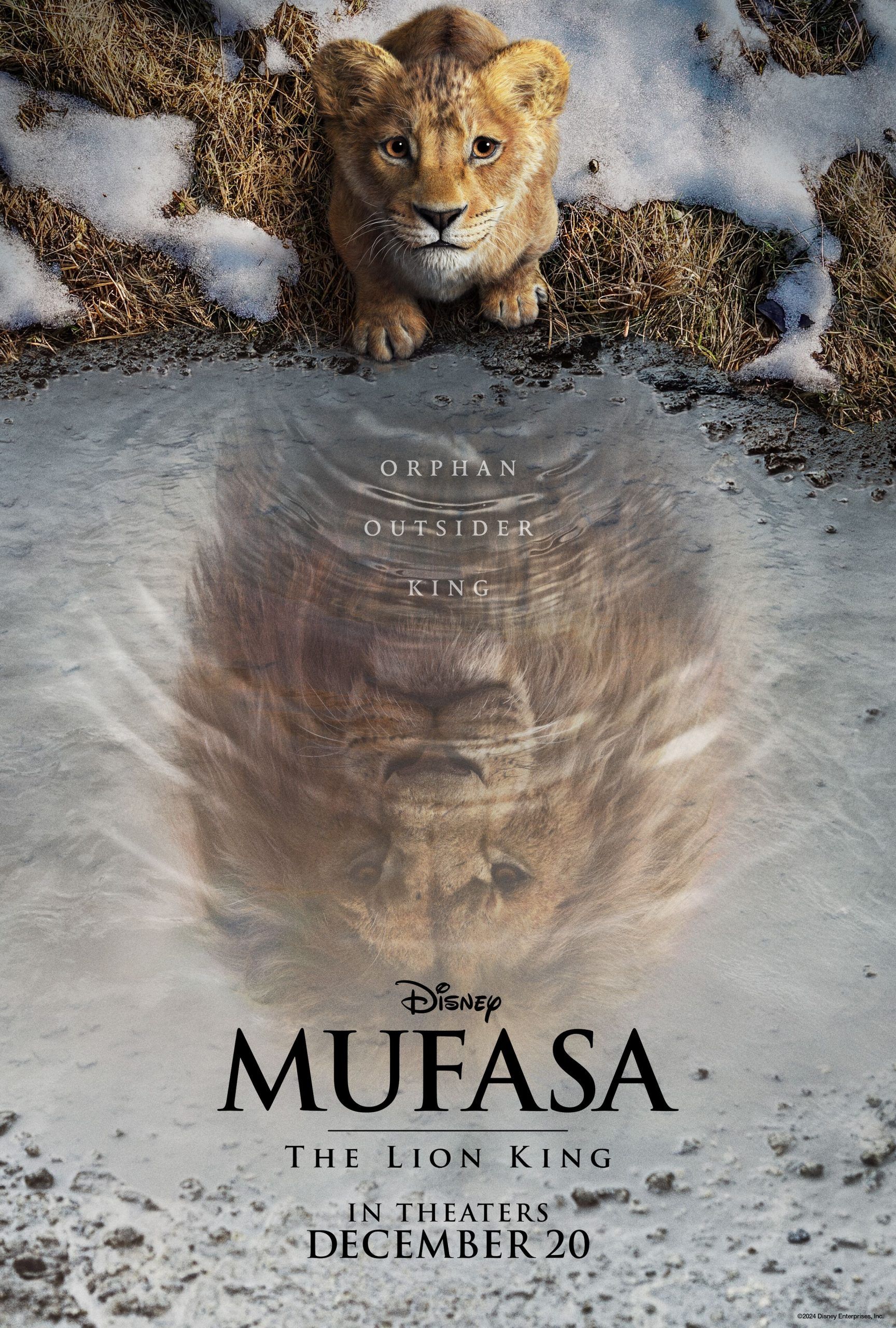 Mufasa-the-lion-king-shows-young-Simba-looking-at-the-reflection-of-adult-Simba.jpeg