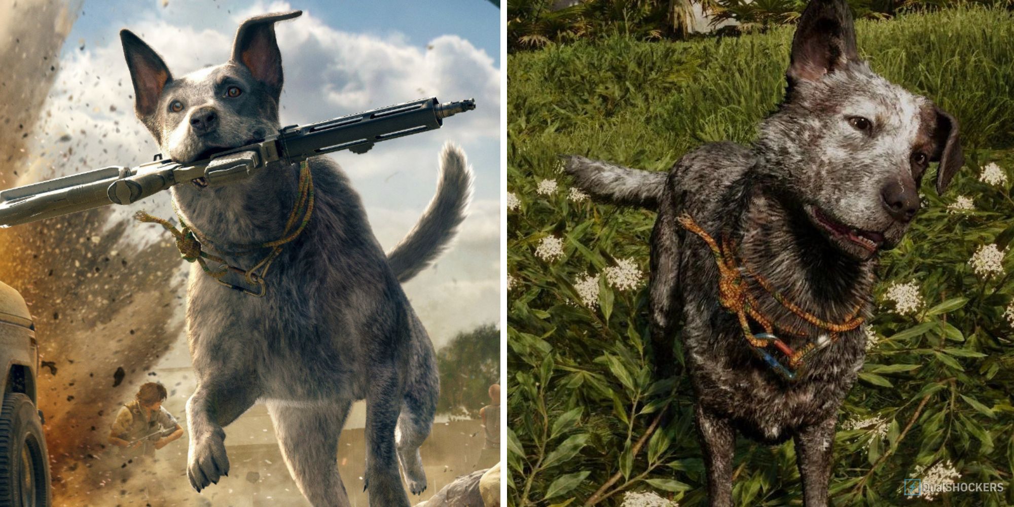 far cry 5 split image of boomer the dog