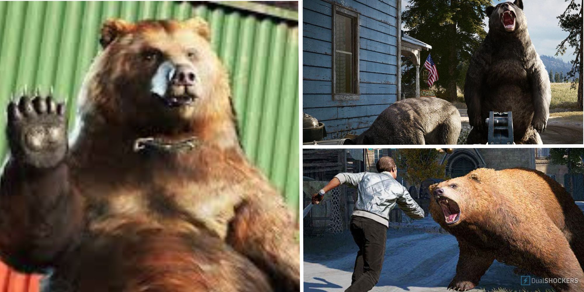 featured image of far cry 5 grizzly bears