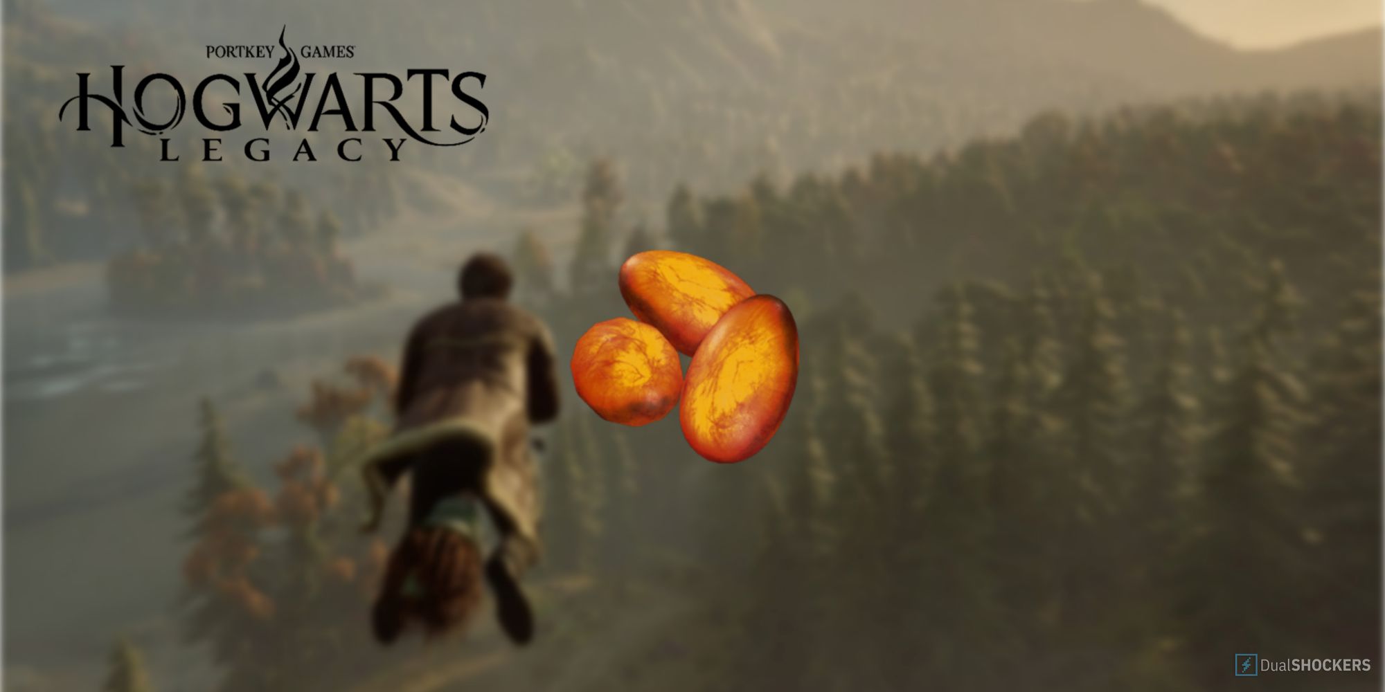 hogwarts-legacy-how-to-get-ashwinder-eggs
