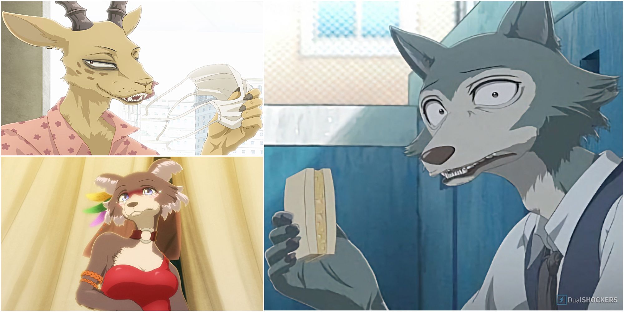 Where To Watch Beastars Online? (Explained) - TechShout