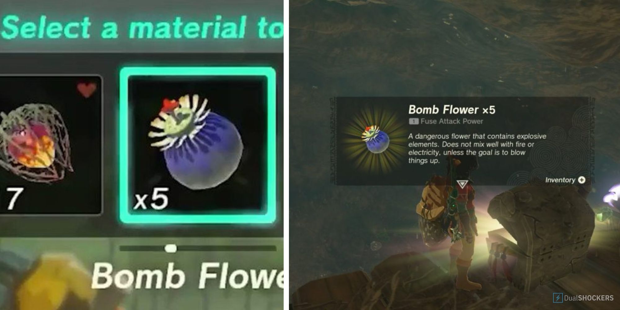 Tears Of The Kingdom - Where To Find Bomb Flowers