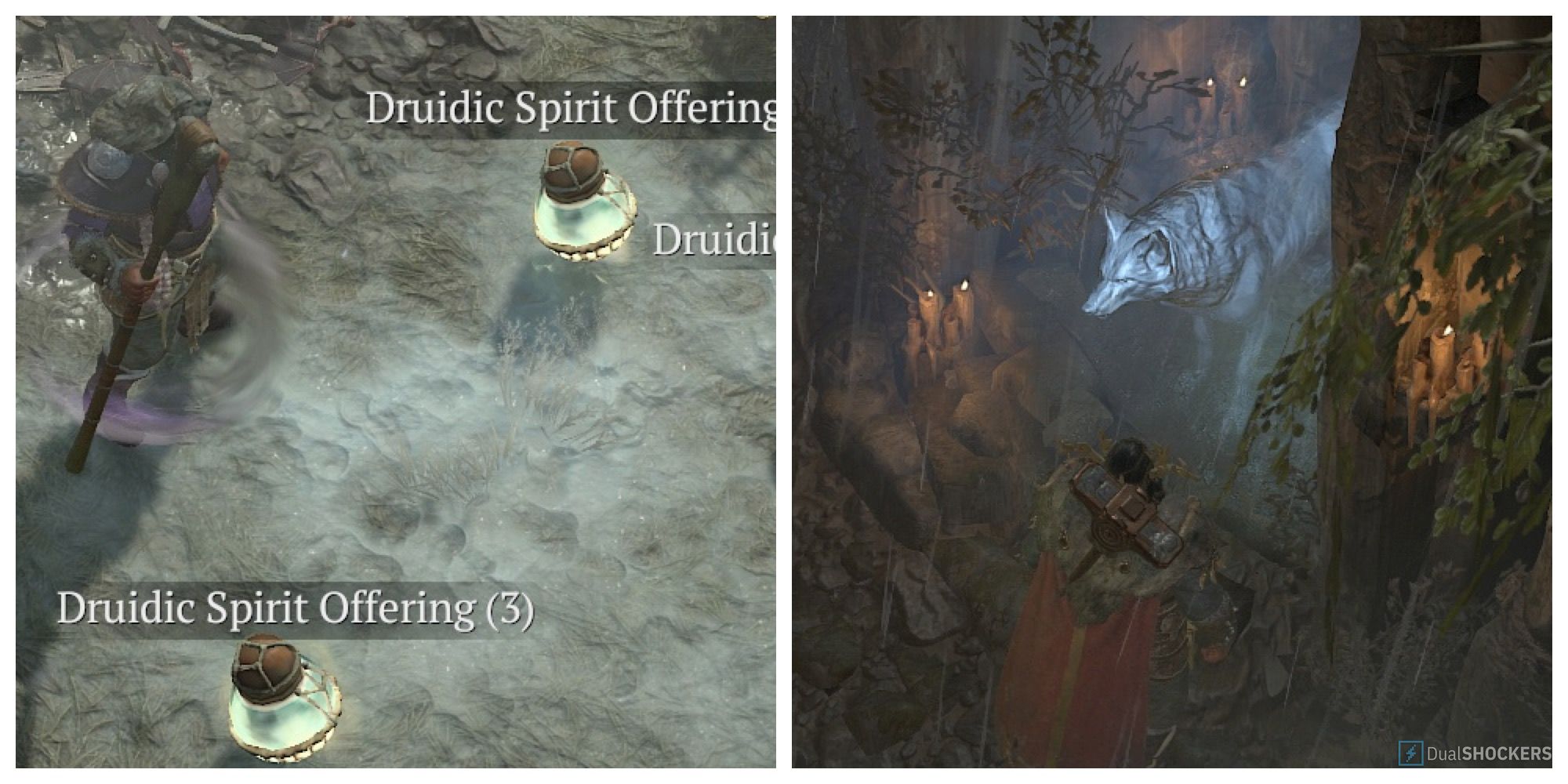 Diablo 4 druid finds several stacks of spirit offerings, a druid consults the Wolf Spirit