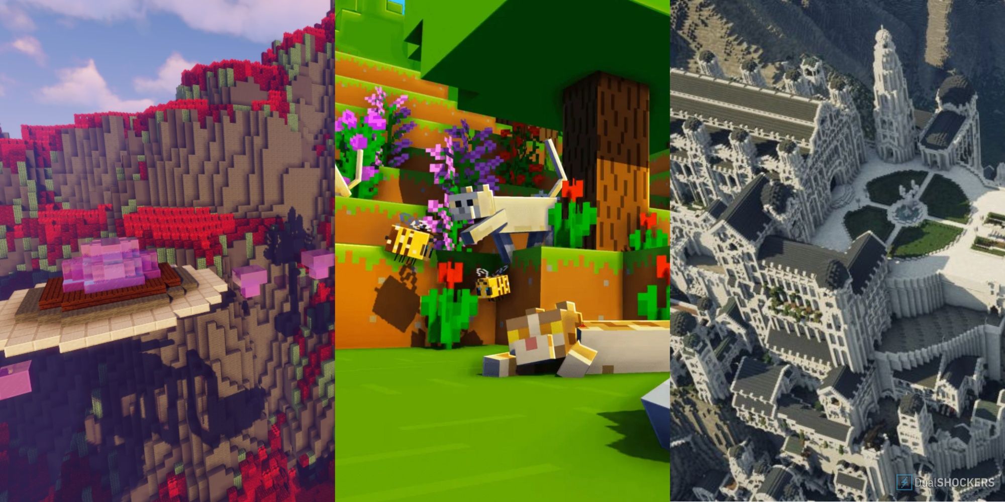 Pixelmon.in Collage