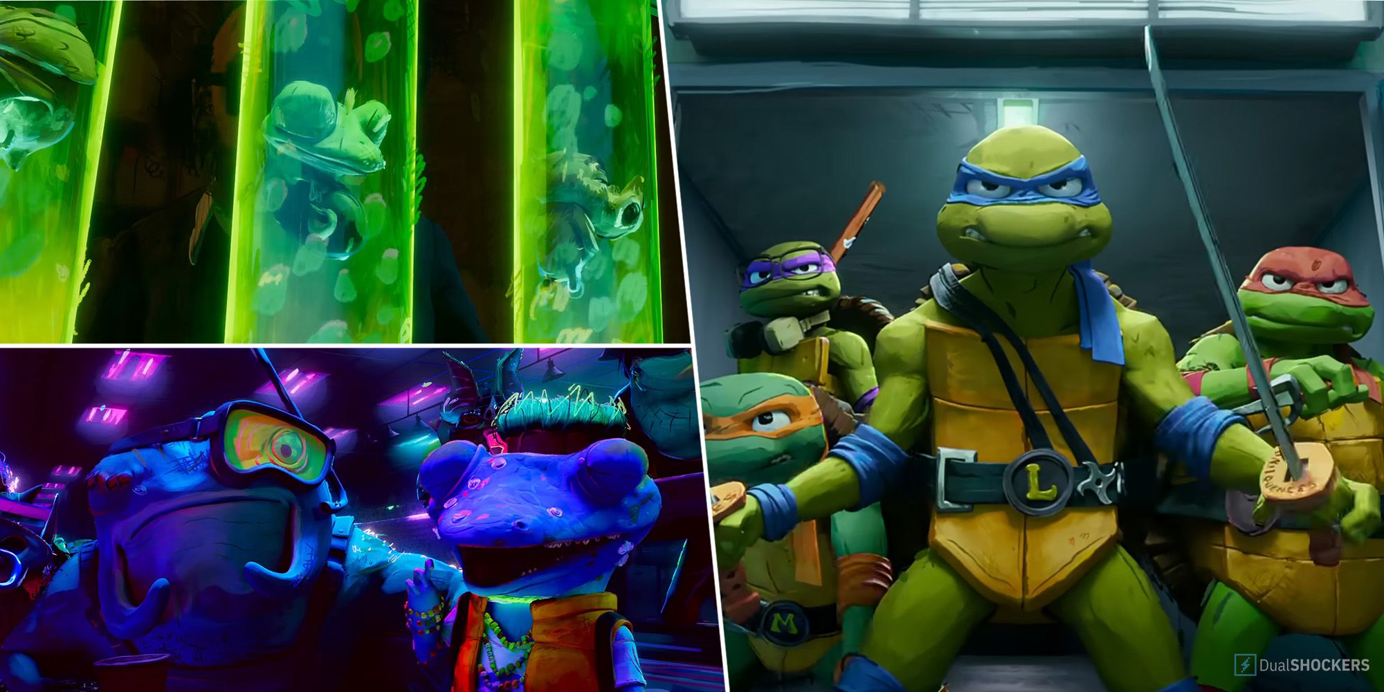 ninja turtles names and personalities