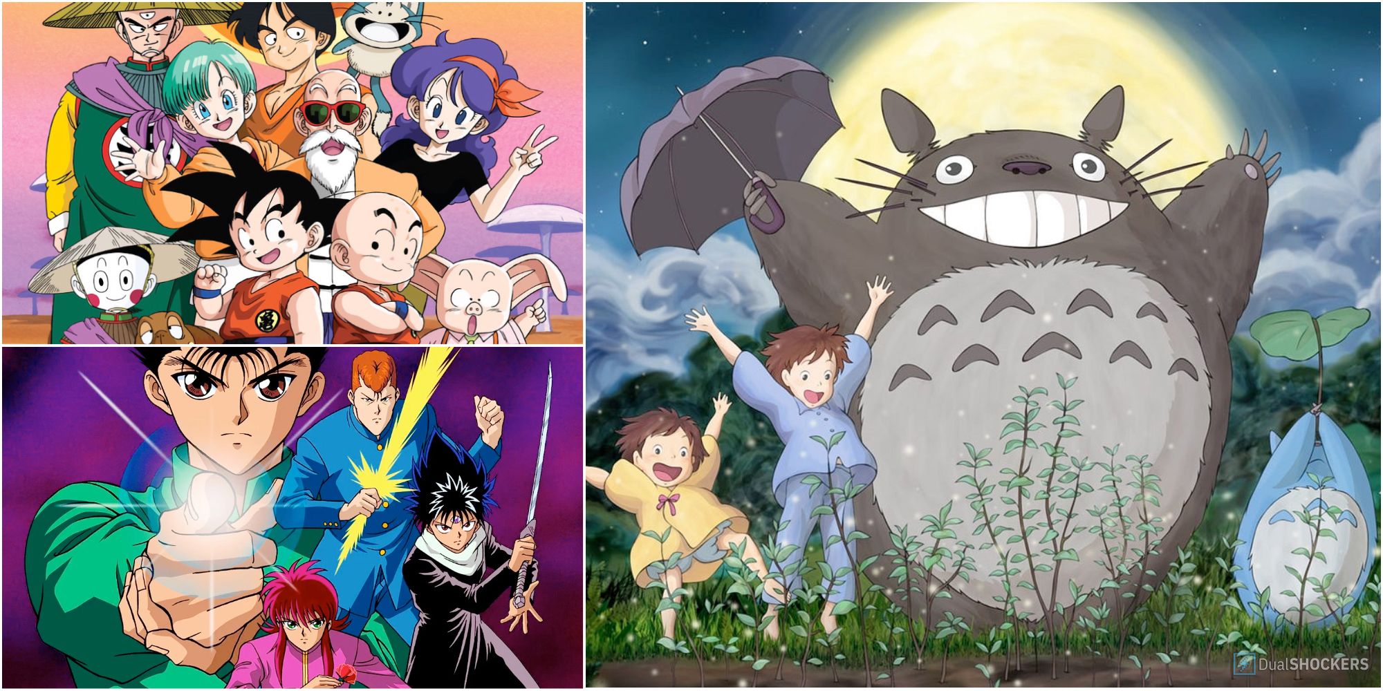 Goku Yusuke and Totoro Feature