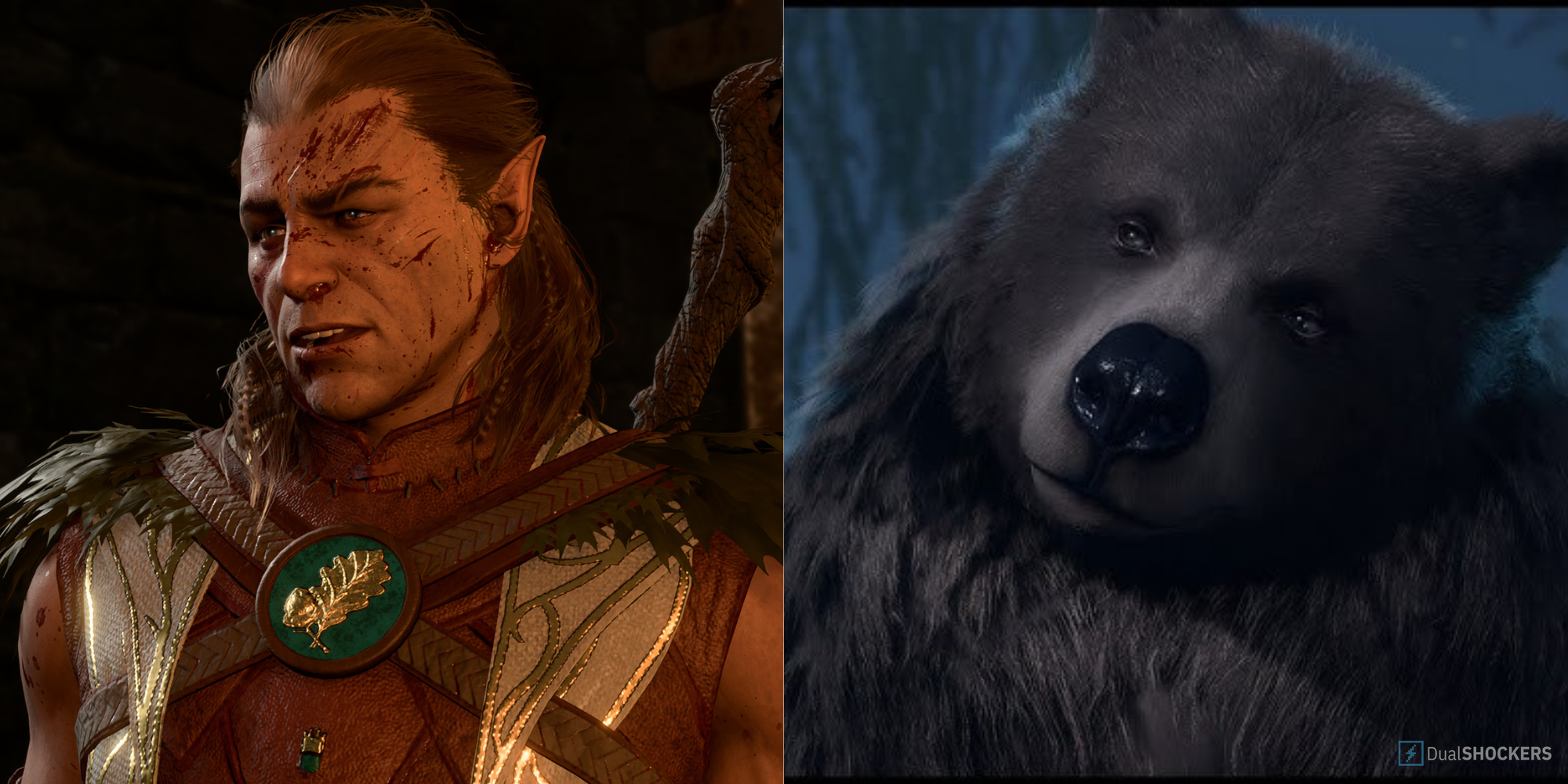 Baldur's Gate 3 Halsin (left) and Halsin as a bear (right)