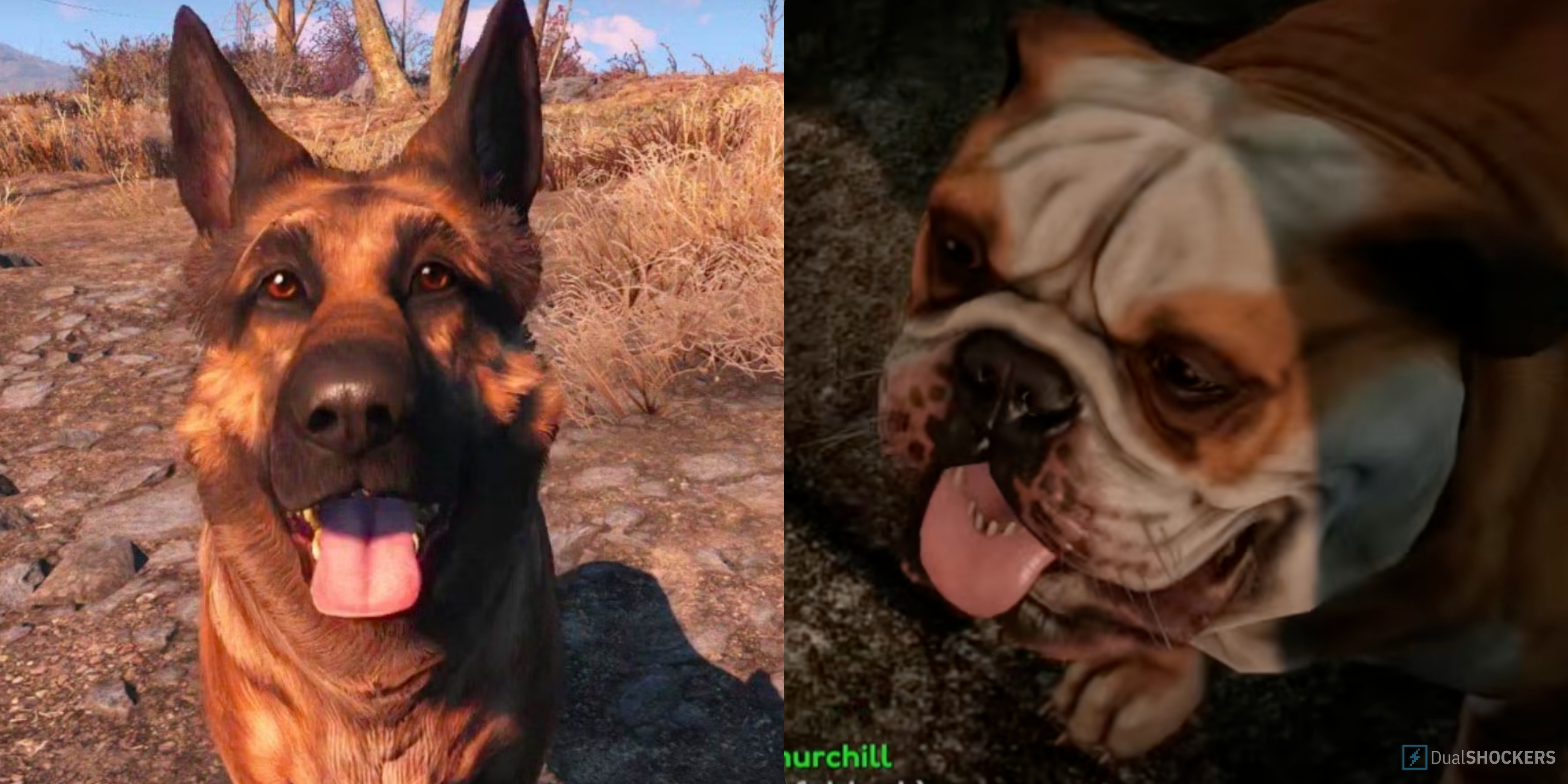 Fallout 4 - Dogmeat vs Churchill